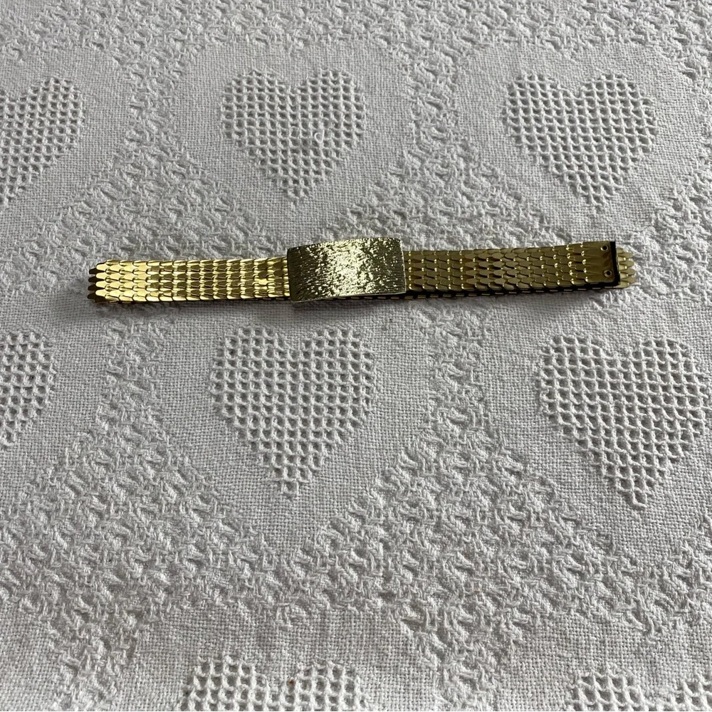 Vintage Scaley Belt